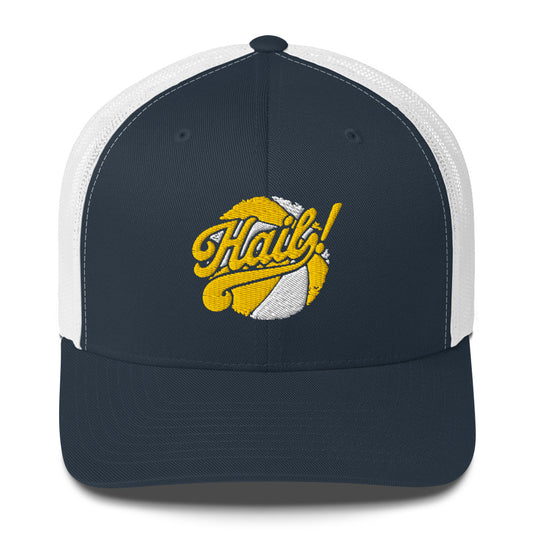 HAIL UNIVERSITY OF MICHIGAN BASKETBALL HAT